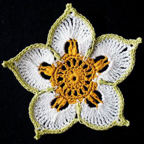 Цветок Талисман крючком - Подробное описание и схема вязания крючком цветка Талисман.
